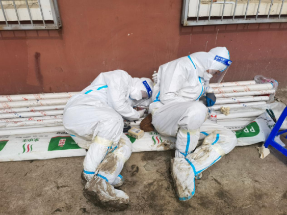 首页| 尊龙集团中国官方网站